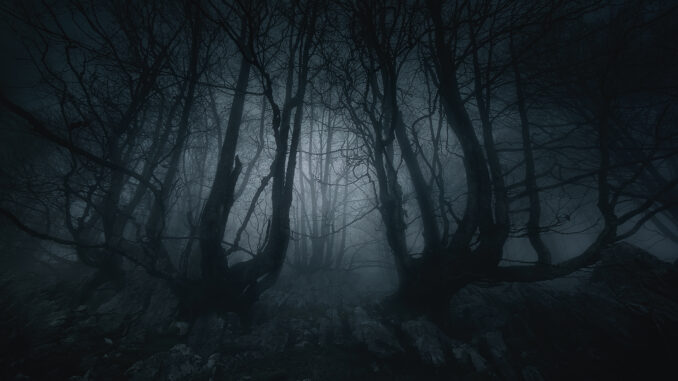 nightmare forest with creepy trees