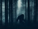 A dark scary concept. Of a mysterious bigfoot figure, walking through a forest. Silhouetted against trees in a forest. With a grunge, textured edit.